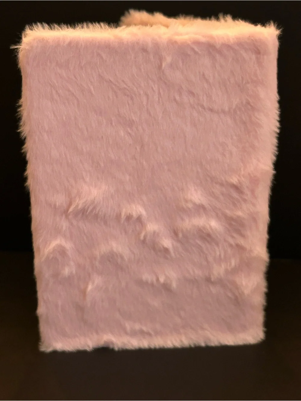 Peanuts Pink Fuzzy Snoopy Notebook for School with Woodstock Brand New